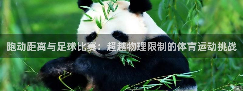 跑动距离与足球比赛:超越物理限制的体育运动挑战