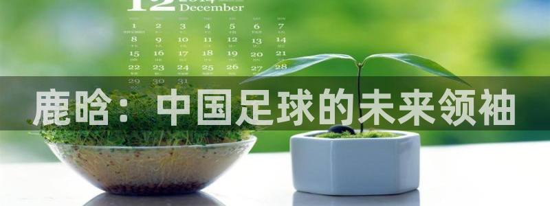 鹿晗:中国足球的未来领袖