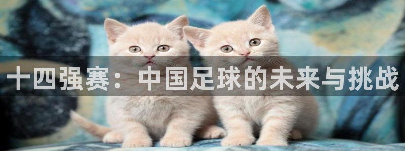 十四强赛:中国足球的未来与挑战