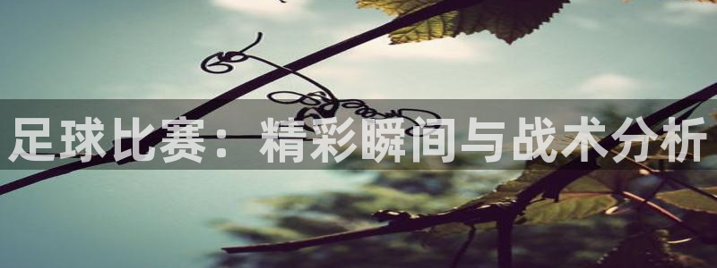 足球比赛:精彩瞬间与战术分析