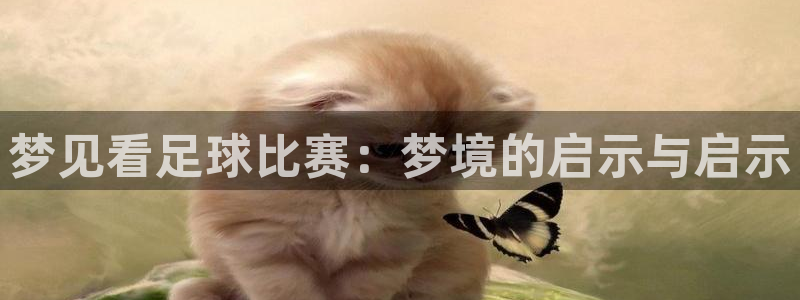 梦见看足球比赛:梦境的启示与启示